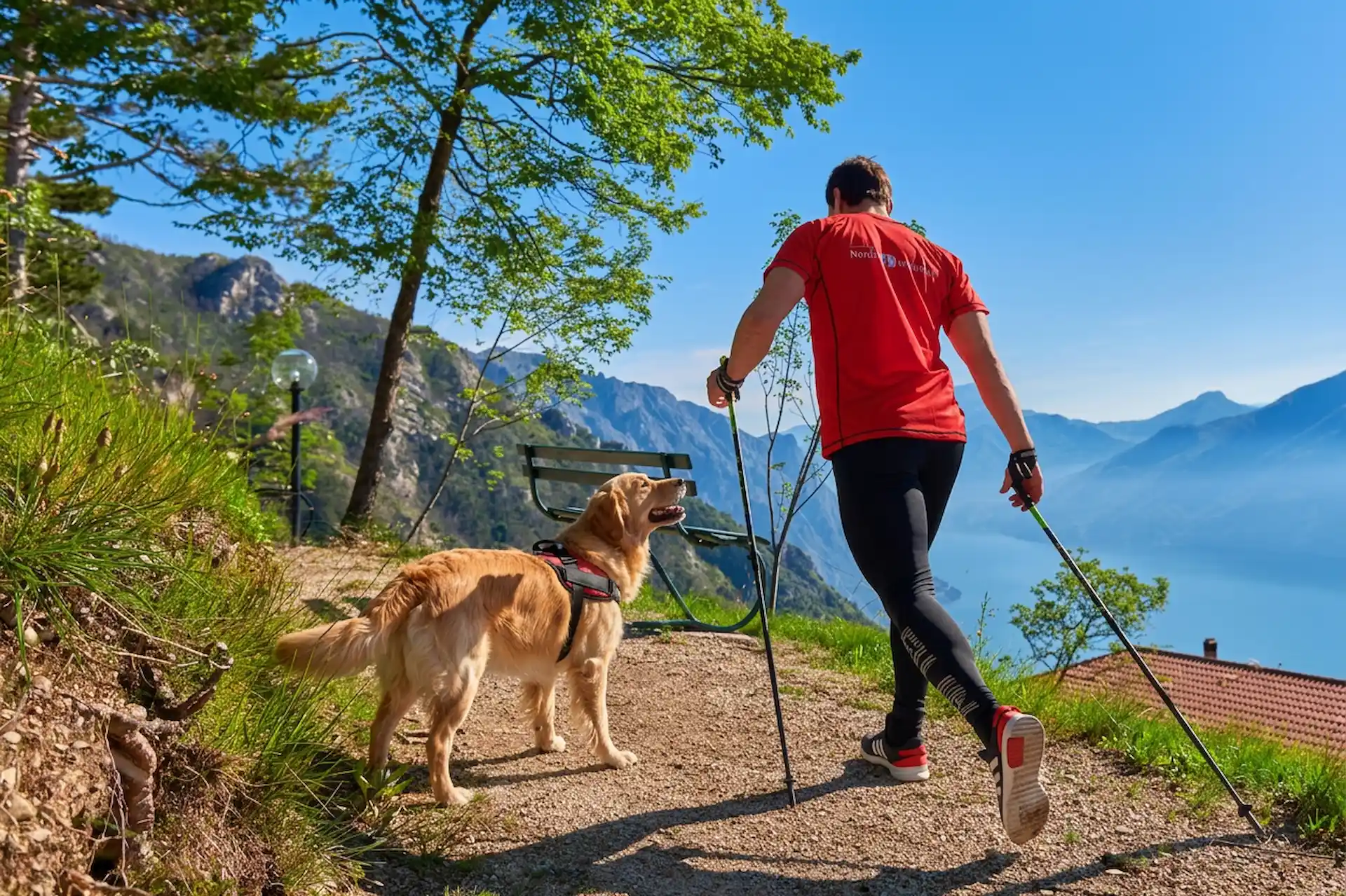 Vacanze a 4 zampe a Tremosine: policy e consigli per il tuo cane all’Hotel Le Balze